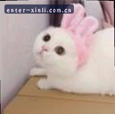 陈总